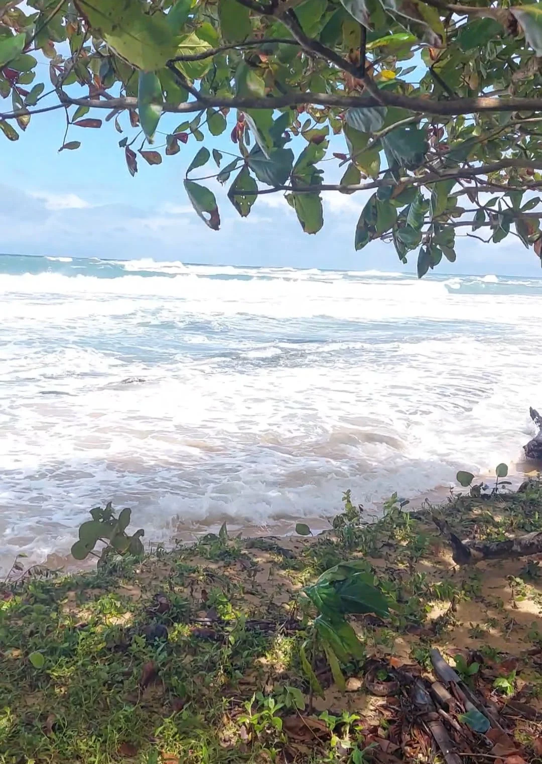 Olas del Mar