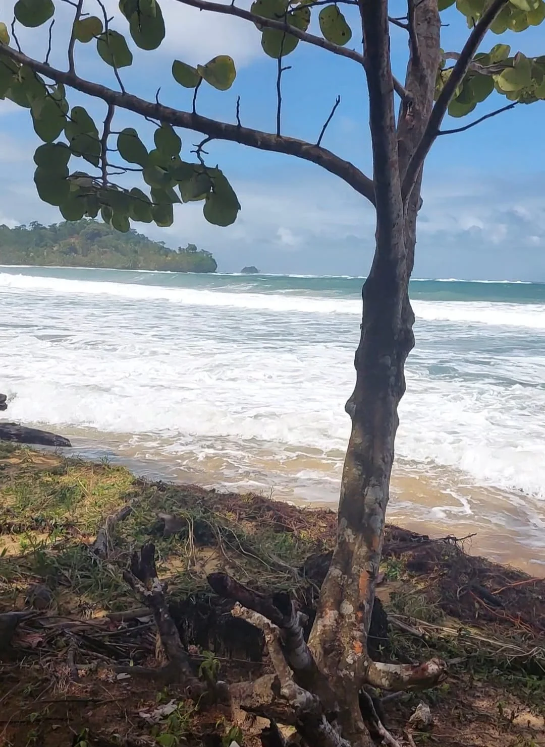 Playa Tropical